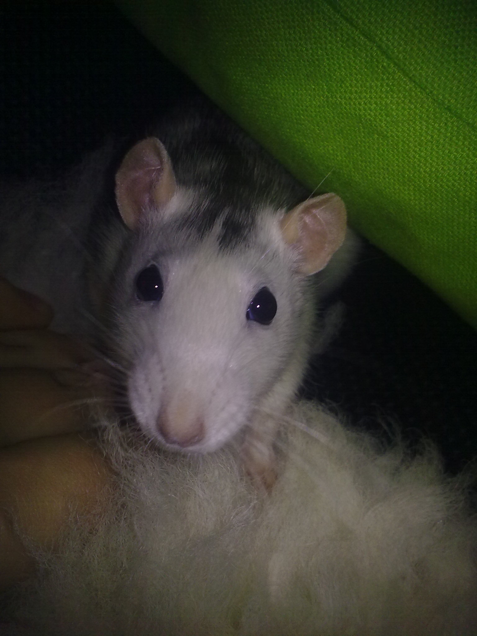 05122010649.jpg